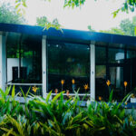 Perfect Weekend Gateway Near Mumbai: Why Shahapur Tops the List