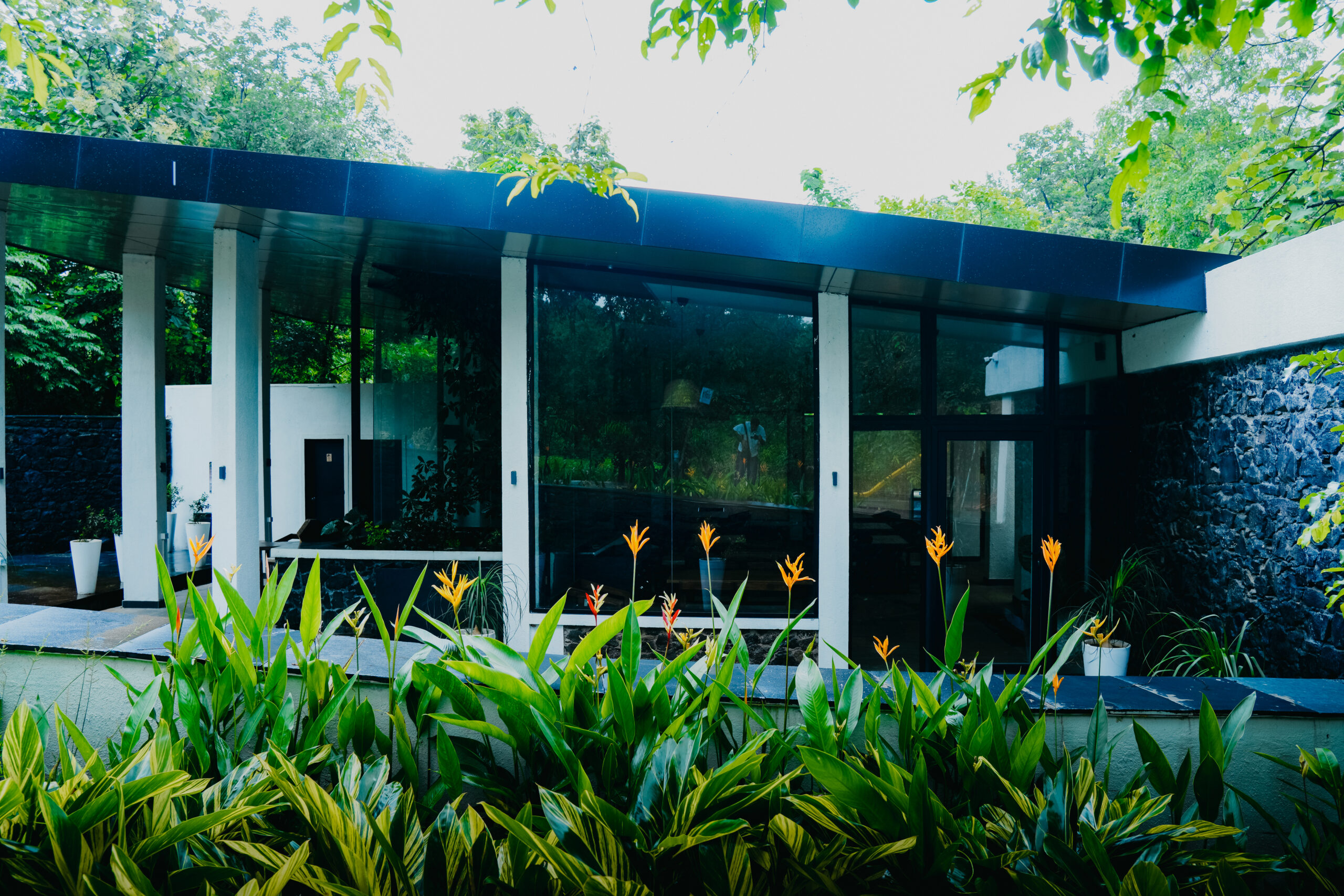 Perfect Weekend Gateway Near Mumbai: Why Shahapur Tops the List
