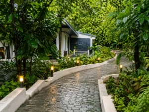 Best Resort Near Mumbai: Why Birds Nest Resort Is the Ultimate Luxury Nature Getaway